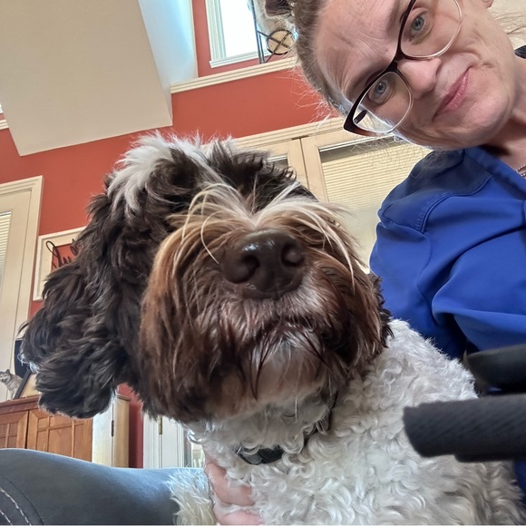 Meet your Posher, Kelli - Picture 2 of 9